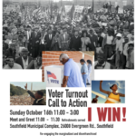 Voter Turnout Call to Action